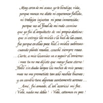 En Paz Amado Nervo Juan Crisóstomo Ruiz de Nervo Italic Calligraphy
